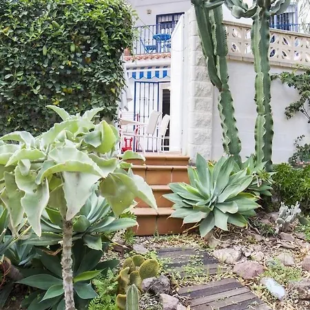 Palmeras * San José